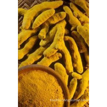 Best Selling Turmeric Powder for Exporting